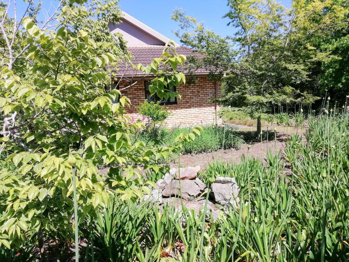 The Red Gate Suite For Garden Route Tranquility جورج المظهر الخارجي الصورة