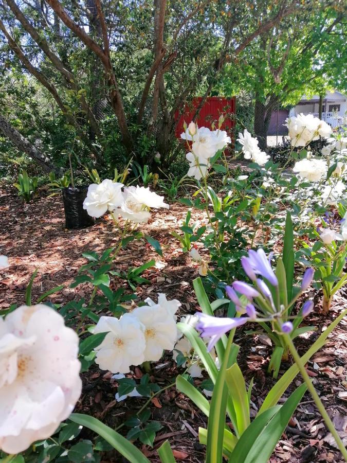 The Red Gate Suite For Garden Route Tranquility جورج المظهر الخارجي الصورة